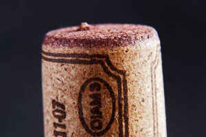 cork detail