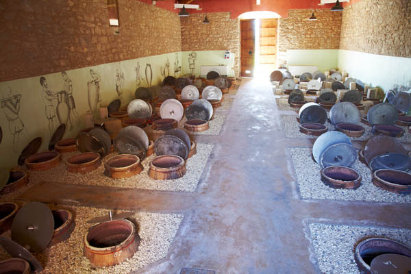 Amphora in the winery