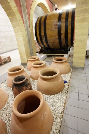 Amphora and oak vats in the winery