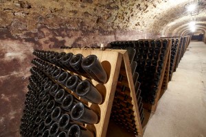 champagne cellar