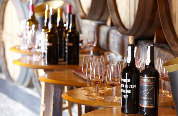 A wine tasting in the wine cellar at Quinta do Tedo in the Douro Valley