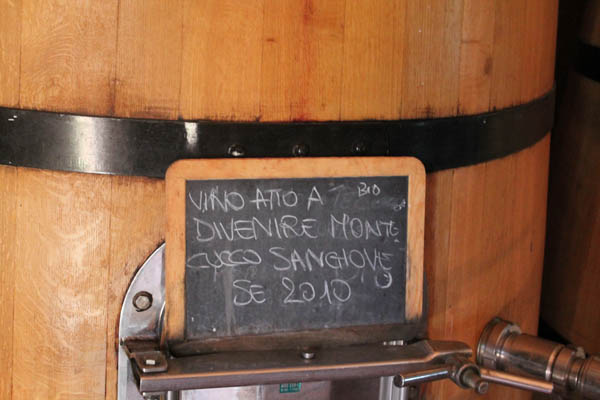 Wooden vat at the Leonardo Salustri winery with DOCG wine