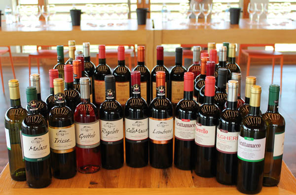 A selection of Montecucco wine to taste