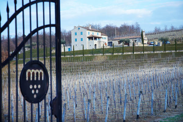 The Kabola Winery and vineyards, Istria, Croatia