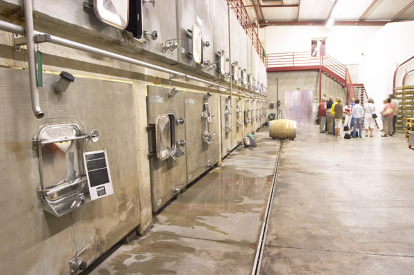 Concrete vats, Domaine Sang des Cailloux, Rhone