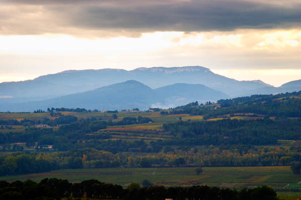 Sun tries to break through clouds near a vineyard, copyright BKWine Photography