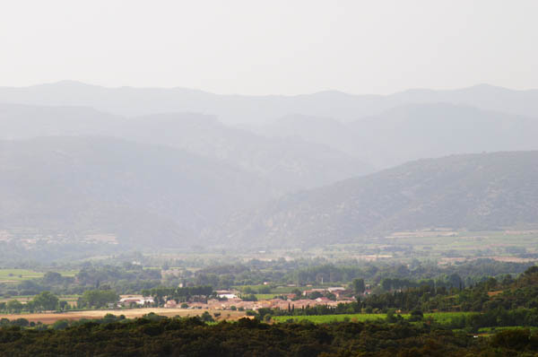 Mist descends on a vineyard, copyright BKWine Photography