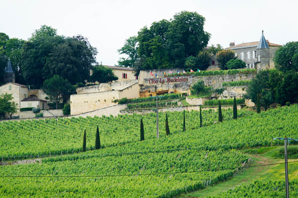 Clos la Madeleine, Saint Emilion, Bordeaux