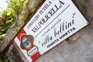 valpolicella winery