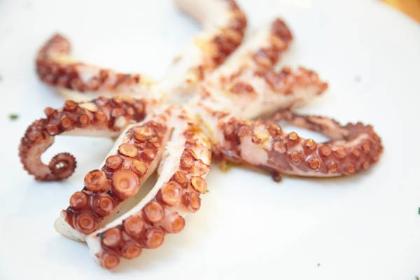 An octopus for main course