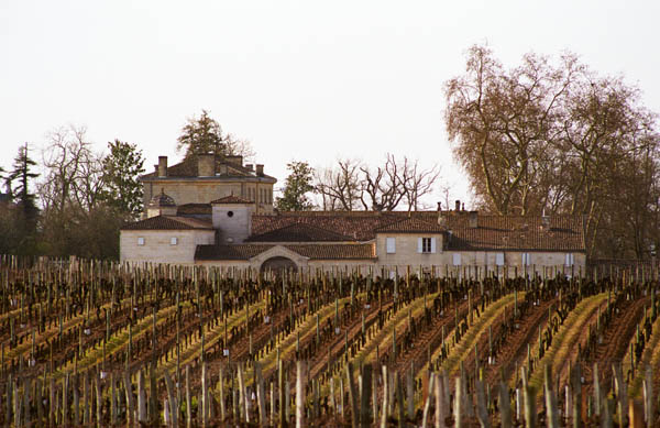 View over the vineyard and chateau, Chateau Figeac, Saint Emilion