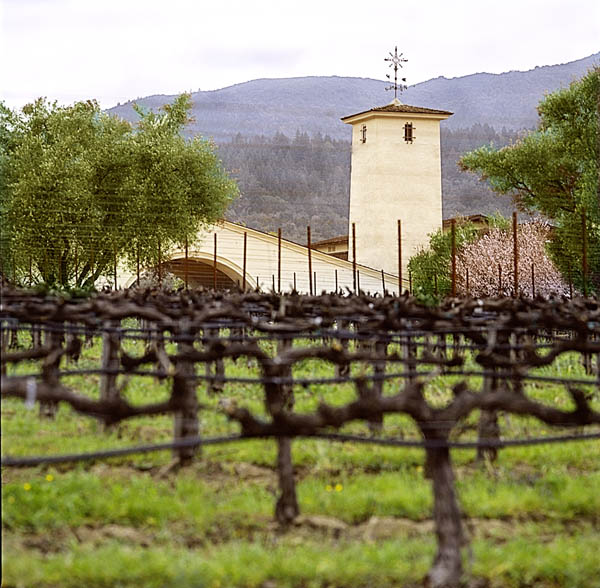 Vingård och vinkällare hos Robert Mondavi