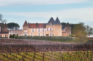 The vineyards at Chateau d'Yquem, Sauternes