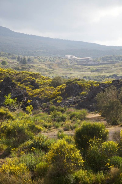 The wild landscape on Sicilian mountains