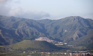 vineyards in sicily