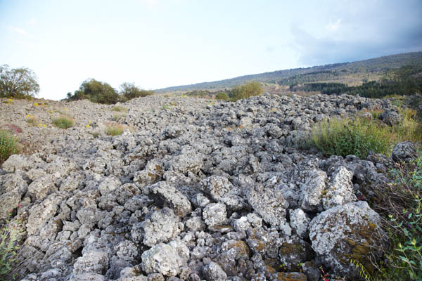 Black lava rock soil on Etna