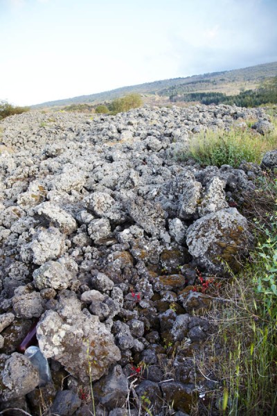 The black, stony lava soil on the slopes of the mount Etna volcano