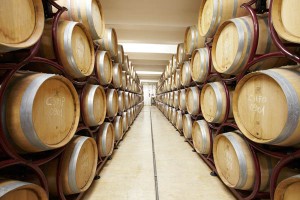 oak barrels in the wine cellar