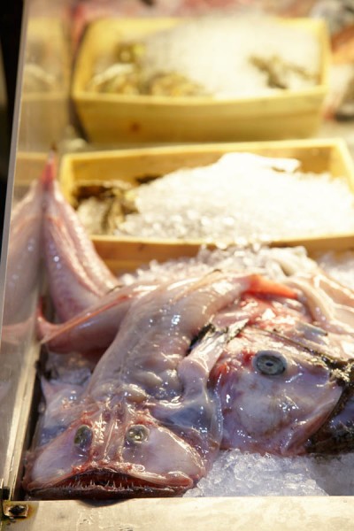 A monk-fish at a restaurant waiting to be prepared