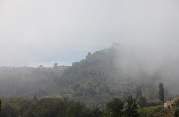 Landscape in Montalcino, Tuscany