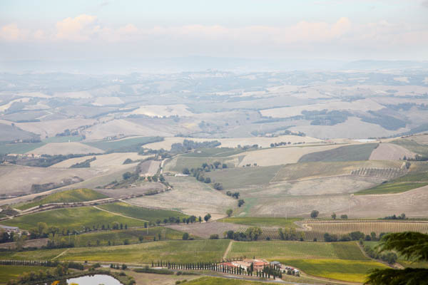 Landscape in Montalcino, Tuscany