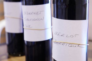 Base wines for blending, merlot, cabernet and barrel aged