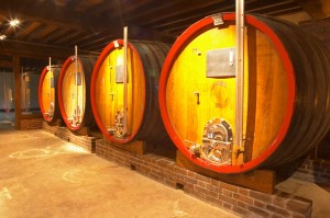 jacquesson wine cellar