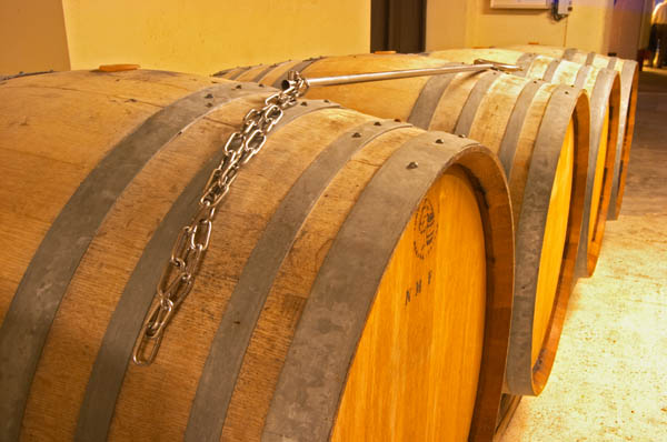Demi muid barrels and batonnage tool in Champagne