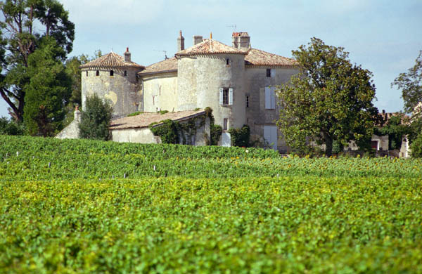 Vineyard at Chateau de Castelnau, Entre deux Mers, Bordeaux