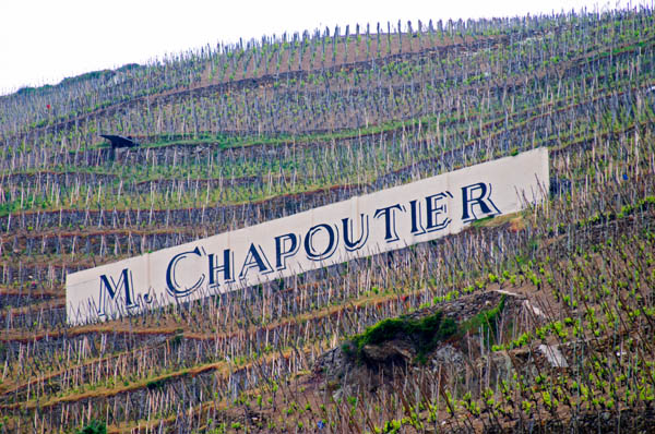 Terraced vineyards in Cote Rotie, M Chapoutier, Rhone