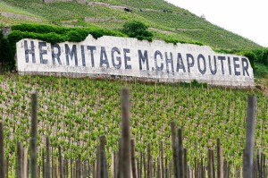 Vineyard at Domaine M Chapoutier, Hermitage, Rhone