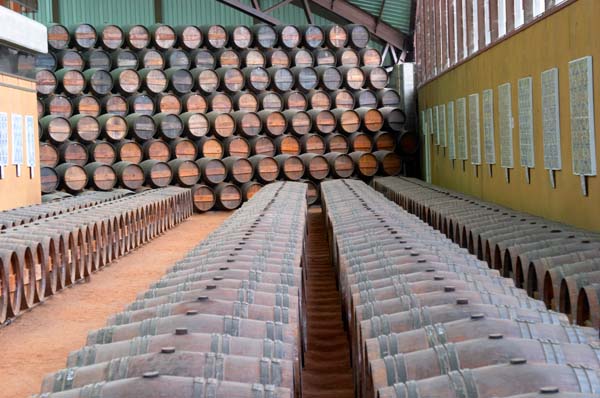 Oak barrel aging and fermentation cellar, Bacalhoa Vinhos, Azeitao, Portugal