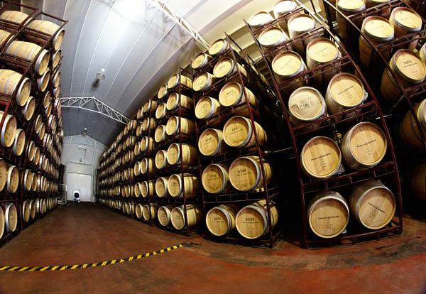 The barrel cellar at Zuccardi, Mendoza, Argentina