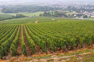The village Chablis, Burgundy, and the Les Clos grand cru vineyard