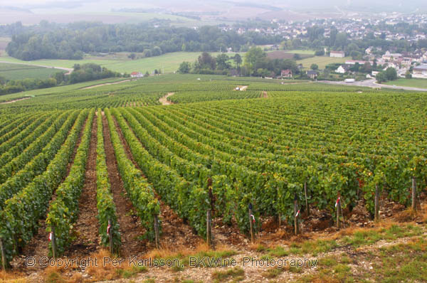 The village Chablis, Burgundy, and the Les Clos grand cru vineyard