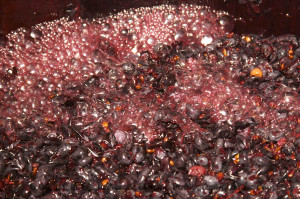 fermenting grapes