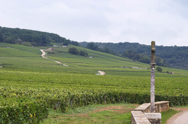 La Romanee Conti Grand Cru vineyard with stone cross, Richebourg in the back