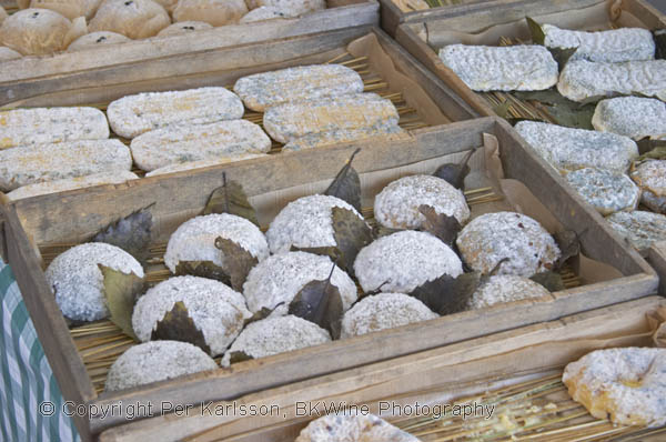 Goat cheese, many types and shapes