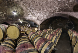 barrel cellar in winery