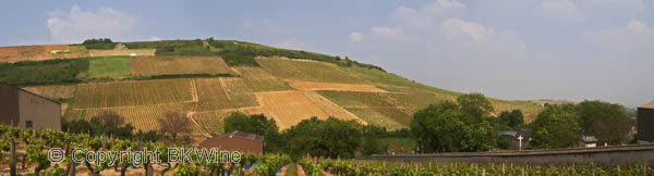 Monts Damnes vineyard, Chavignol, Sancerre