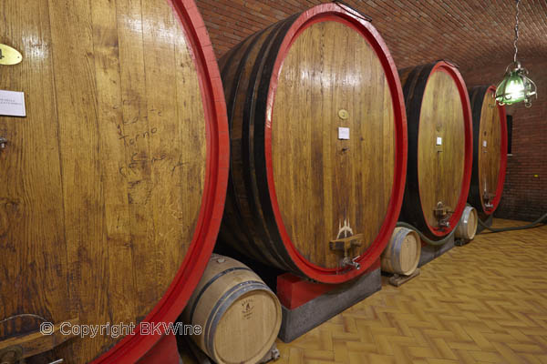 Oak barrels in the Allegrini wine cellar