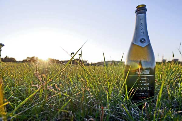 Lenoble Brut Premier Cru Champagne