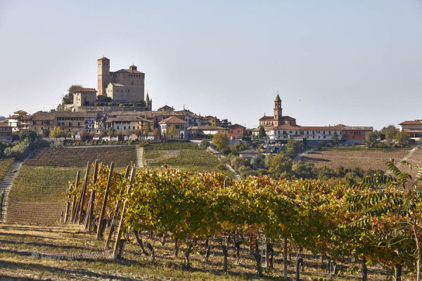 A medieval village and vineyards in Piedmont