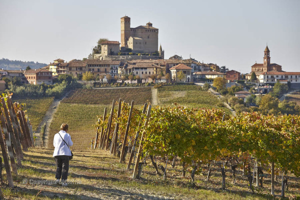 A medieval village and vineyards in Piedmont