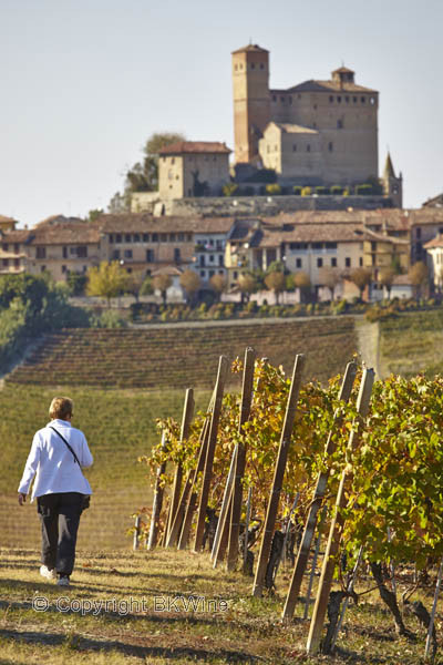 A medieval village and vineyards in Piedmont