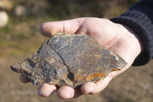 In the vineyard, schist