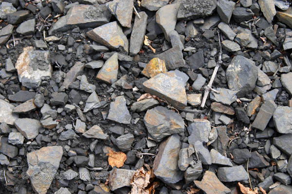 Soil detail. Slate. The black soil.