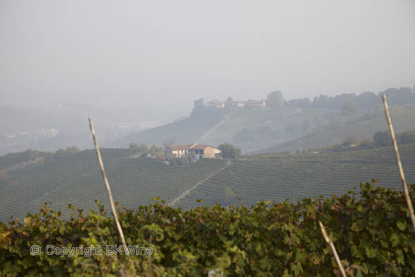 Barolo vineyards and landscape