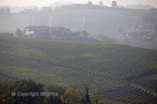 Barolo vineyards and landscape