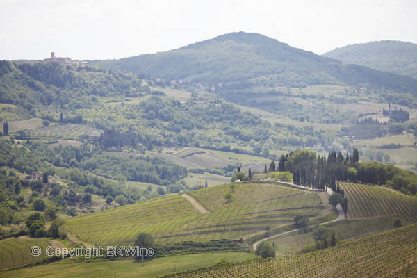 Vineyards in Tuscany